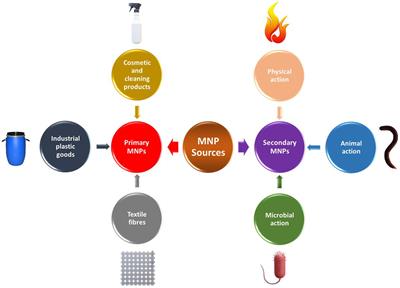 Frontiers | Environmental Impacts Of Microplastics And Nanoplastics: A ...